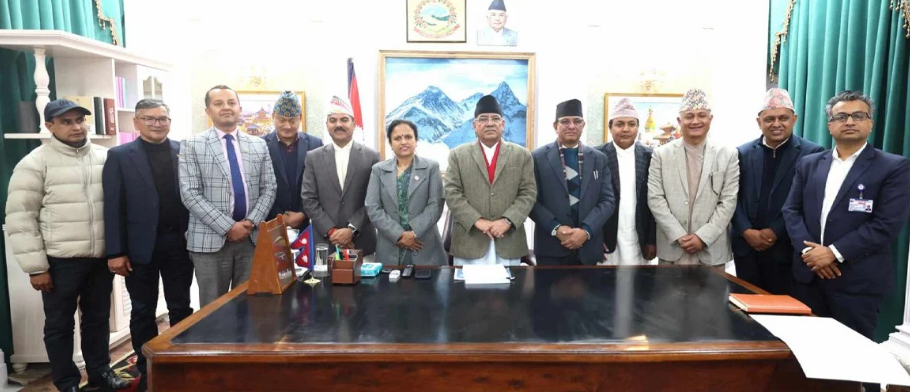 एनसेल छानबिन : समितिले प्रधानमन्त्रीलाई बुझायो प्रतिवेदन